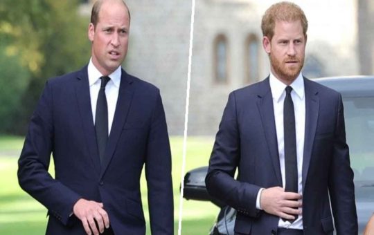 fratellastri harry e william