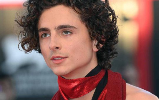 timothee chalamet solocine